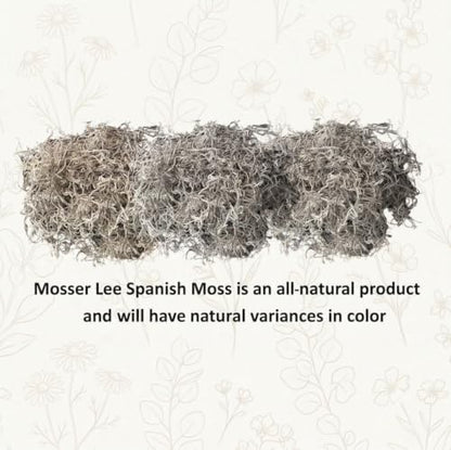 Mosser Lee Spanish Moss – Natural Decorative Moss for Houseplants, Soil Cover, Crafts, Terrariums & Floral Arrangements - 400 Cubic Inches (Approx 9oz) - size: 400 Cubic Inches