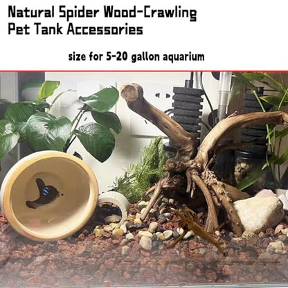 Hamiledyi 4PCS Driftwood for Aquarium 8-10in Natural Spider Wood Reptile Branches Fish Tank Log Ornament Aquarium Trunk Decoration - size: Spiderwood (8-10in 4PCS)