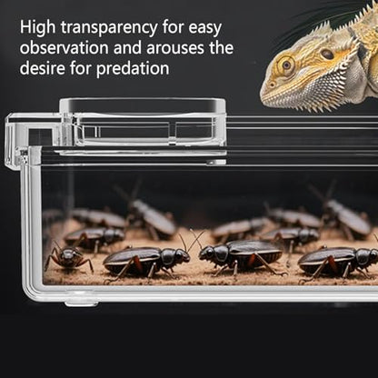 Reptile Food Dish Anti-Escape Crested Gecko Food Dish | Pet Supplies for Habitat Tank Cage Enclosure Feeding Chameleon Lizard Gecko Spider - color: White