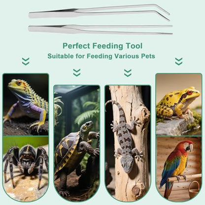 Syn-zer Reptile Feeding Tongs, 10.6" Straight & Curved | 2 Pcs Stainless Steel, Rustproof, Aquarium, Terrarium, Reptile, Bearded Dragon, Snake, Lizard, Crafts, Planting - color: Silver