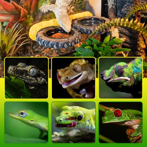 Magnetic Reptile Feeder Ledge, Crested Gecko Feeding Ledge with PVC Food Bowls, Tire-Shaped Reptile Food Dish for Crested Gecko Leopard Gecko Lizard Frog Bearded Dragon
