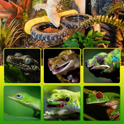 Magnetic Reptile Feeder Ledge, Crested Gecko Feeding Ledge with PVC Food Bowls, Tire-Shaped Reptile Food Dish for Crested Gecko Leopard Gecko Lizard Frog Bearded Dragon