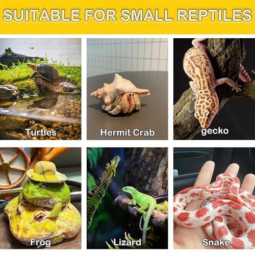 2 Pack Tortoise Climbing Terrace Turtle Resting Basking Platform Reptile Climbing Ramp Hiding Place Habitat Accessories with Feeding Trough