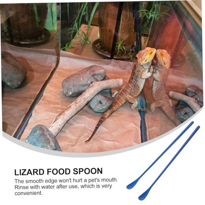 SUPVOX 2pcs Reptile Food Scoop Small Pet Feeding Spoon Long Handle Lizard Desert Spoon - color: Blue