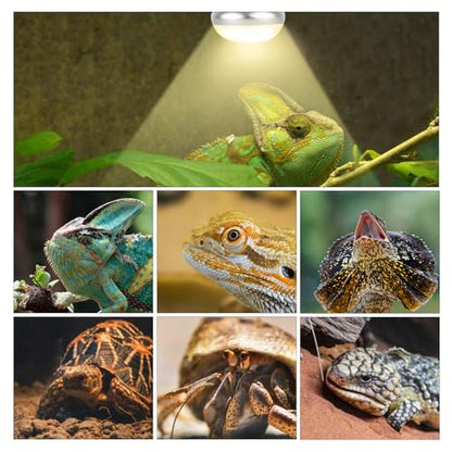 Reptile Heat Lamp Blub, 2Pack 75W Day & Night Reptile Heat Lamp,UVA Daylight Heat Basking Bulbs Infrared Heats Light Bulb for Reptiles Bearded Dragon Lizard Turtle