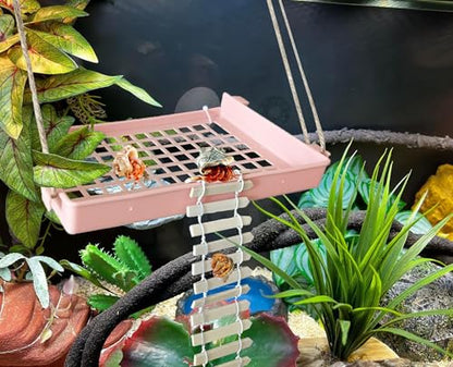 Hermit Crab Accessories: Reptile Ladder, Plastic Grid Habitat, Hammock for Hermit Crab, Hamster, Guinea Pig (Pink) - style: Modern