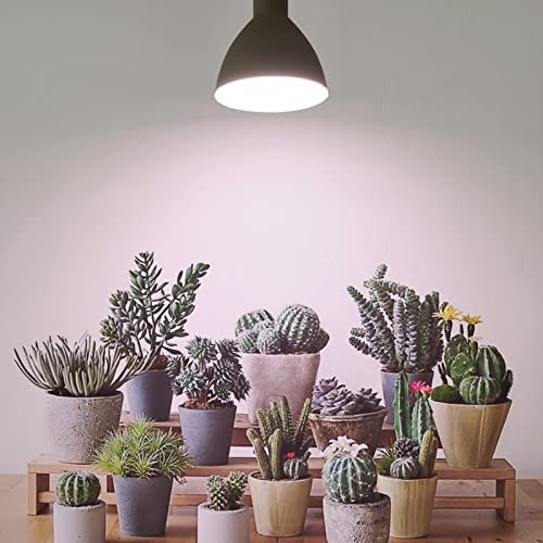 Smart Grow Light Bulbs for Indoor Plants, Programmable Timer and Dim | Full Spectrum Plant Grow Bulbs, Dimmable, 9W, E26/27, 4500K, Remote Control, Sun Mimics Mode, Daily Auto On/Off, 6Pack - size: 6 Pack