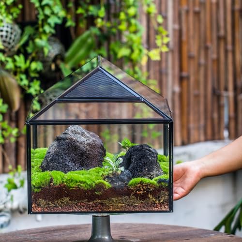 NCYP Large Geometric Glass Terrarium Box with Swing Lid for Tarantula, Snail - 14x12x12 Inches Glass Enclosure (Terrarium Only)