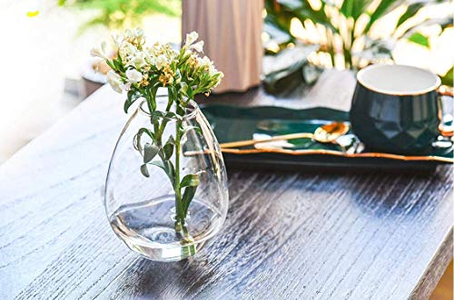 Kingbuy Egg Shaped for Propagating Hydroponic Plants 2 Pack Wall Planter | Borosilicate glass, clear & durable. Egg-shaped wall-mounted vases. Ideal for hydroponics, air plants, cuttings. Great gift. - color: Ellipse Shape