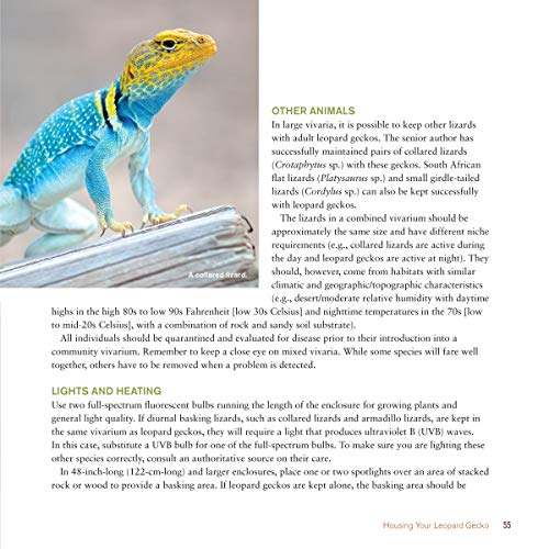 The Leopard Gecko Manual, 2nd Edition (CompanionHouse Books) Informative Guide to Care, Diet, Habitat, Breeding, Raising Hatchlings, Health Care, Recognizing Disease, Shedding, Tail Loss, and More