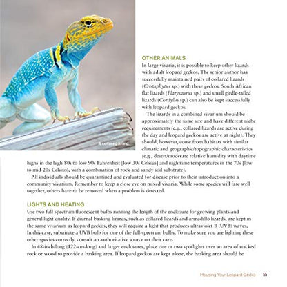 The Leopard Gecko Manual, 2nd Edition (CompanionHouse Books) Informative Guide to Care, Diet, Habitat, Breeding, Raising Hatchlings, Health Care, Recognizing Disease, Shedding, Tail Loss, and More