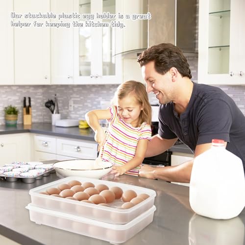 Deviled Egg Containers with Lid, (Set of 2),Stackable Plastic Egg Holder for 48 Eggs,Clear Egg Storage Holder for Fridge,Keep Fresh,Easter,Thanksgiving Party Kitchen Supplies - size: 48 Eggs