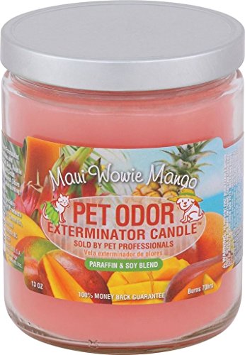 Pet Odor Exterminator Candle, Maui Wowie Mango,13 oz - color: Maui Wowie Mango