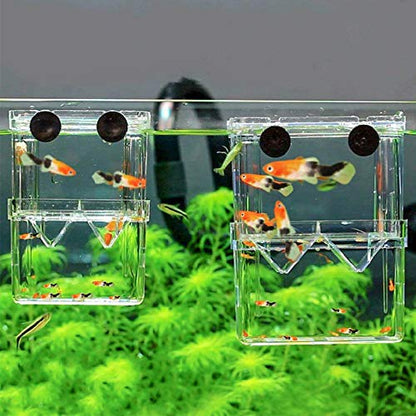 Aquarium Fish Breeder Box Plastic Fish Isolation Breeding Box Hatching Incubator Box for Baby Fishes Shrimp Clownfish Guppy - size: Medium