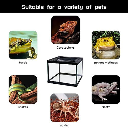 Mini Reptile Glass Terrarium Tank 8 * 8 * 6" Full View, Amphibians Habitat Enclosure Cage for Frog,Spiders,Dubia Cockroach,Praying Mantis,Cricket,Tarantula,Hermit Crab - size: 8*8*6inch