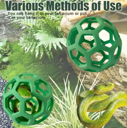 Snake Enrichment Toys Ball,Jungle Gym Ball and Enrichment Rings for Small Ball Python Corn Snakes,Reptiles Climbing Toy,Snake Exploring&Climbing Accessories