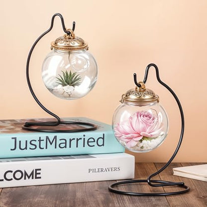 20 Pcs Ornament Display Stand Small 6 Inch, Ornament Hanger, Air Plant Holder Terrariums Hanging Stand Crystal Ball Hanging Hook for Christmas Wedding Home Office Decoration(Black)
