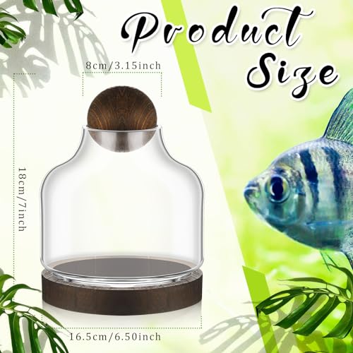 2 Pcs Glass Terrarium Container with Wooden Base and Decorative Ball Lid, 7 Inch DIY Terrarium Jar for Moss, Ferns, Air Plants and Succulents, Mini Indoor Garden Vase for Home Office Desk Decor