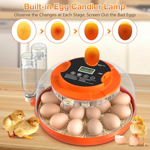 Egg Incubators for Hatching Eggs, 18 Egg Incubator with Automatic Egg Turning and Humidity Control Incubator for Chicken Duck Quail Home Lab - size: O-18H