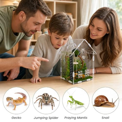 Jumping Spider Enclosure Kit, 5x5x8 Acrylic Terrarium Starter Set | Front-opening design Vertical habitat layout,Transparent viewing panels for desks, shelves and pet rooms