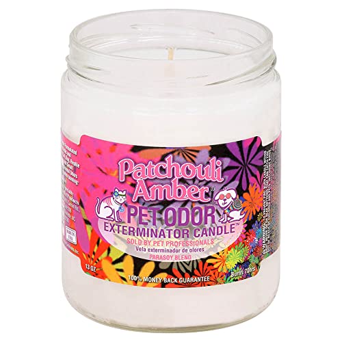 Amber Patchouli Pet Odor Exterminator 13 Ounce Jar Candle (Amber Patchouli, 1) - color: Amber Patchouli
