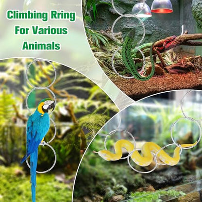 Snake Climbing Rings for Ball Python-Enrichment Snake Enclosure Accessories | Snake Climbing Accessories with Hanging Buckle, Rattan Rope for Bearded Dragon, Chameleon, Iguana, Gecko, Lizard, Parrot