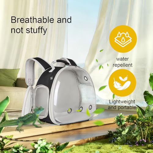 Guinea Pig Backpack Carrier, Bearded Dragon Carrier Backpack with Clear Bubble Window,Small Animal Travel Backpack for Hedgehog Rat Parrot,Rabbit,Sugar Glider,Airline Approved(Black, Backpack) - color: Black
