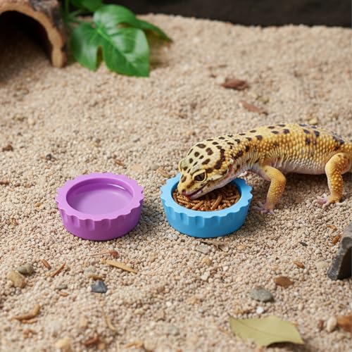 7PCS Silicone Crested Gecko Food Dish and 2PCS Stirred Feedings Stick | Colorful Water Bowl Reusable Small Reptile Feeding Dish for Crab Reptile Tanks Terrarium Accessories Crested