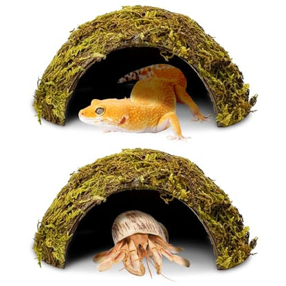 PINVNBY 2 Pack Natural Green Moss Hide Caves Coconut Reptile Hideouts Hamster Climbing Toys Gecko Habitat Decor Lizard Shell Shelter for Snake Tarantulas Turtle Chameleon - size: 2 PCS Moss Surface