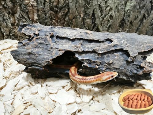 Large Reptile Hide Cave-Aquarium Decor for Snakes & Fish - size: Large