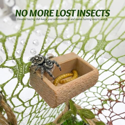 Jumping Spider Enclosure Accessories Kit - Magnetic Moss Ball Hideout, 2 Rock Ledges, Feeding Bowl, Climbing Mesh Nets & Rope Ladder - Natural Forest Habitat Decor for Regal (Moss Cave) - size: Moss Cave without Rope
