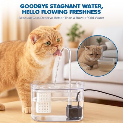 SunGrow Automatic Flowing Hydration with Filter, Silent USB Pump Cat Water Fountain, Transparent Feeder Bowl for Indoor Felines, Ferrets, and Small Animals (6" x 5" x 5")