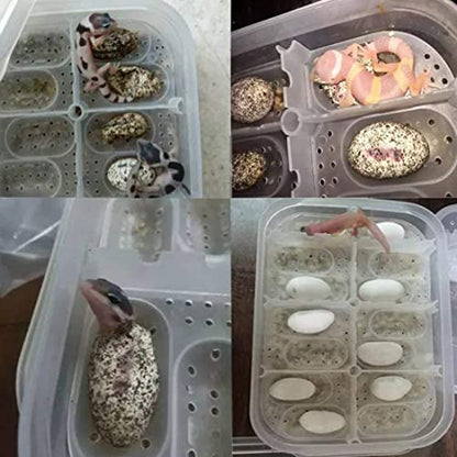 Reptile Incubation Box Reptile Incubator Egg Tray Hatching Box with 12 Grids for Turtle Gecko Lizards Mane