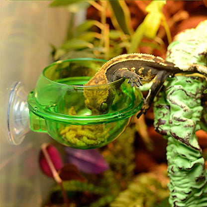 Suction Cup Feeder Anti-Escape Reptiles Water Bowl Worm Live Fodder Container for Iguanas