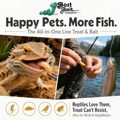 100 Count Premium Live Waxworms for Reptiles, Birds, Amphibians & Fishing Bait - High-Protein, Calcium-Rich Soft-Bodied Larvae - Ideal for Bearded Dragons, Geckos, Chickens & Trout