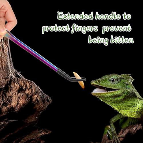 OLIISS Iridescent Reptile Feeding Tongs with Rubber Tips, 10.6", 2 Pack | Straight & Curved, Stainless Steel, Secure Grip, Feeder Tools for Bearded Dragons, Geckos & Lizards, Terrarium Tank Supplies - size: 10.6 Inch
