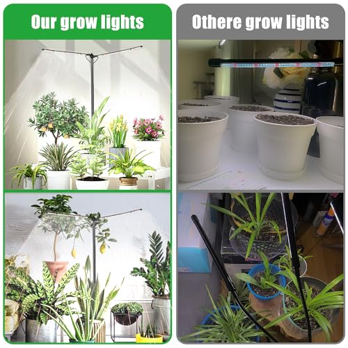 bodkar Plant Grow Light, Plant Lamp for Indoor Plants Growing | 6000K White Red Light for Succulents Mini Small Plants Growth (Without Timer/Dimming) - color: #2 Black（no timer）