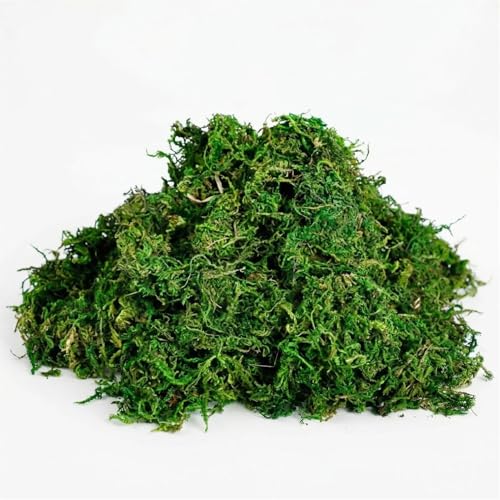 Artificial Moss, Fake Green Moss for Fairy Garden, Crafts, DIY Terrariums, Floral Arrangements, Waterproof Colorfast Moss Decor for Indoor Plants, Reusable (Green 1.76 Oz) - color: Green 1.76 Oz