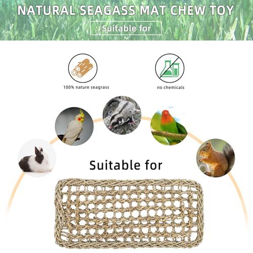 Bird Seagrass Mat 16 × 7" Parrot Natural Grass Woven Net Hammock Parakeet Climbing Rope Ladder Mat Chew Toys Cage Accessories for Pigeon Cockatiel Conure Budgie Cockatoo Rat Hamster - size: 16" × 7"
