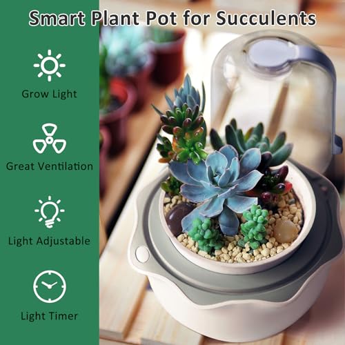 Smart Venus Fly Trap Terrarium Pot with Timer&Fan, Mini Plant Terrarium Kit | Plant Terrarium Kit with Grow Light for Carnivorous,Butterwort,Venus Fly trap,Christmas Gardening Gift for Women Garden Lover