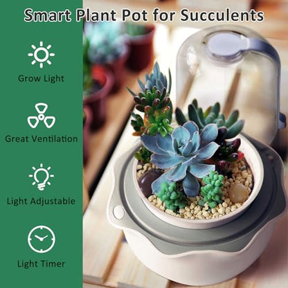 Smart Venus Fly Trap Terrarium Pot with Timer&Fan, Mini Plant Terrarium Kit | Plant Terrarium Kit with Grow Light for Carnivorous,Butterwort,Venus Fly trap,Christmas Gardening Gift for Women Garden Lover