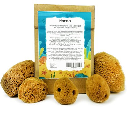 Naroa Natural Hermit Crab Sponges - Pack of 5 | Unbleached Sea Sponge for Water Drinking Safety | Aquarium Decor Balance Tank Humidity | Crab Supplies Accessories