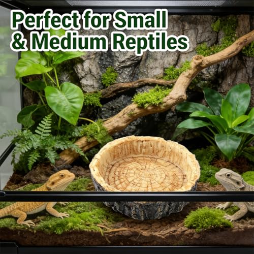 Reptile Bowls,Reptile Water Dish Reptile Water Bowl | Snake Water Bowl for Small Reptiles, Lizard & Snake - Practical Reptile Accessory for Feeding and Hydration