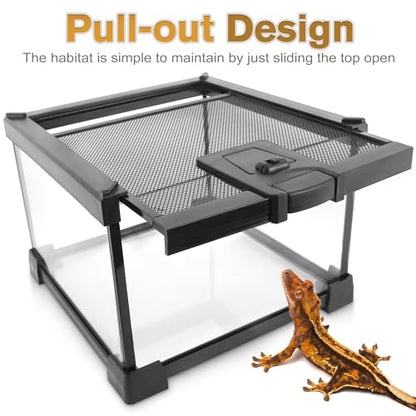 Mini Reptile Glass Terrarium Vivarium 8'' x 8'' x 6'', Full View Tank for Small Arthropod Pets Such as Pumpkin Patch Tarantulas, with Feeding Slot & Box Lock Buckle - size: 8"D X 8"W X 6"H