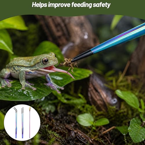 Reptile Feeding Tongs Set with Rubber Tip - 10.6" Stainless Steel Straight & Curved Tweezers and Feeding Spoon for Bearded Dragons, Lizards, Snake, Frog