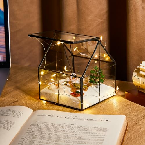 2 Pcs Mini Glass Terrarium Planter with Lid 5 x 4.3 x 4.3'' Small Greenhouse Terrarium Jar Glass Container Pot Tabletop Succulent Small Cacti Air Plant Planter for Indoor Home Garden Office Decor