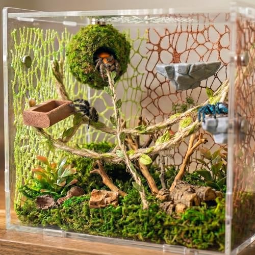 Jumping Spider Enclosure Accessories Kit - Magnetic Moss Ball Hideout, 2 Rock Ledges, Feeding Bowl, Climbing Mesh Nets & Rope Ladder - Natural Forest Habitat Decor for Regal (Moss Cave with Rope) - size: Moss Cave with Rope