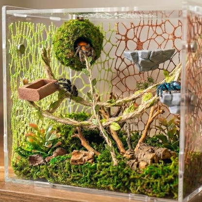 Jumping Spider Enclosure Accessories Kit - Magnetic Moss Ball Hideout, 2 Rock Ledges, Feeding Bowl, Climbing Mesh Nets & Rope Ladder - Natural Forest Habitat Decor for Regal (Moss Cave with Rope) - size: Moss Cave with Rope