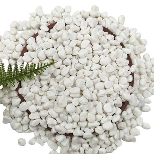 5 LB White Gravel 0.5 Inch Pebbles for Plants & Aquarium | White Gravel for Plants, Succulents, Cacti, Aquariums, Fish Tanks, Vases, Landscaping & Indoor Decorative