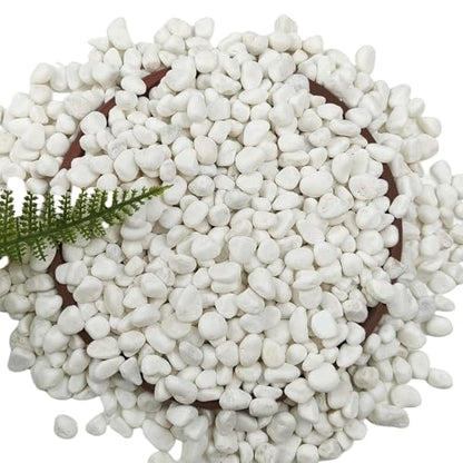 5 LB White Gravel 0.5 Inch Pebbles for Plants & Aquarium | White Gravel for Plants, Succulents, Cacti, Aquariums, Fish Tanks, Vases, Landscaping & Indoor Decorative